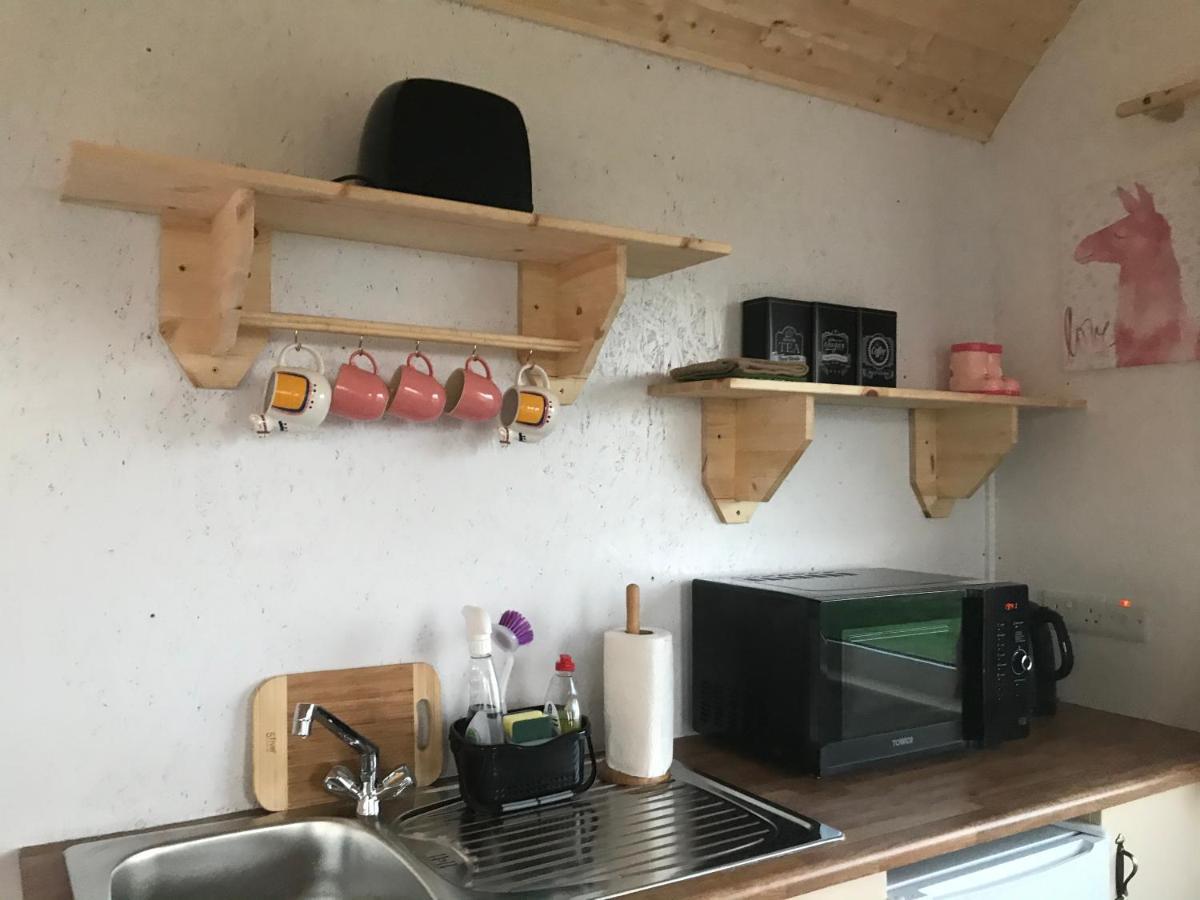 The Beautiful Lazy Llama Shepherd Hut Farm Stay Ballyshannon Exterior foto
